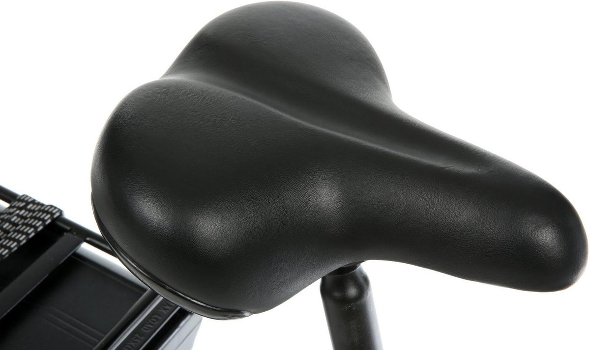 Assist Hybrid Electric Bike - 20in Wheel, 209Wh Battery