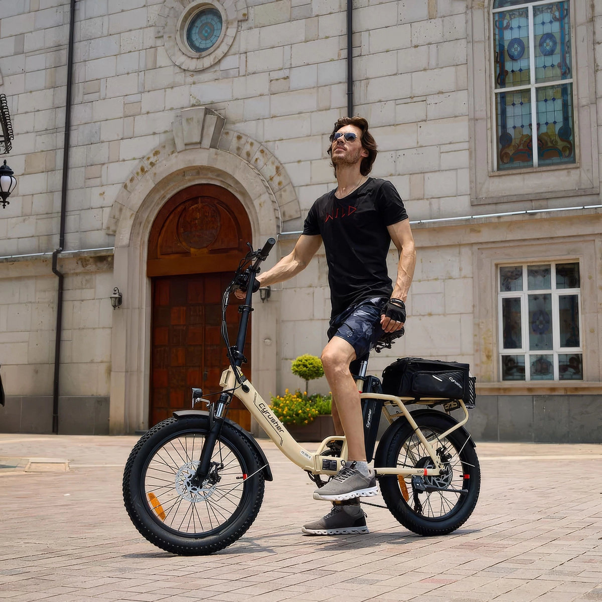 Cyrusher Loop Foldable Electric Bike - 250W Power | 10.4Ah Battery | 15.5mph Speed | 45mi Range